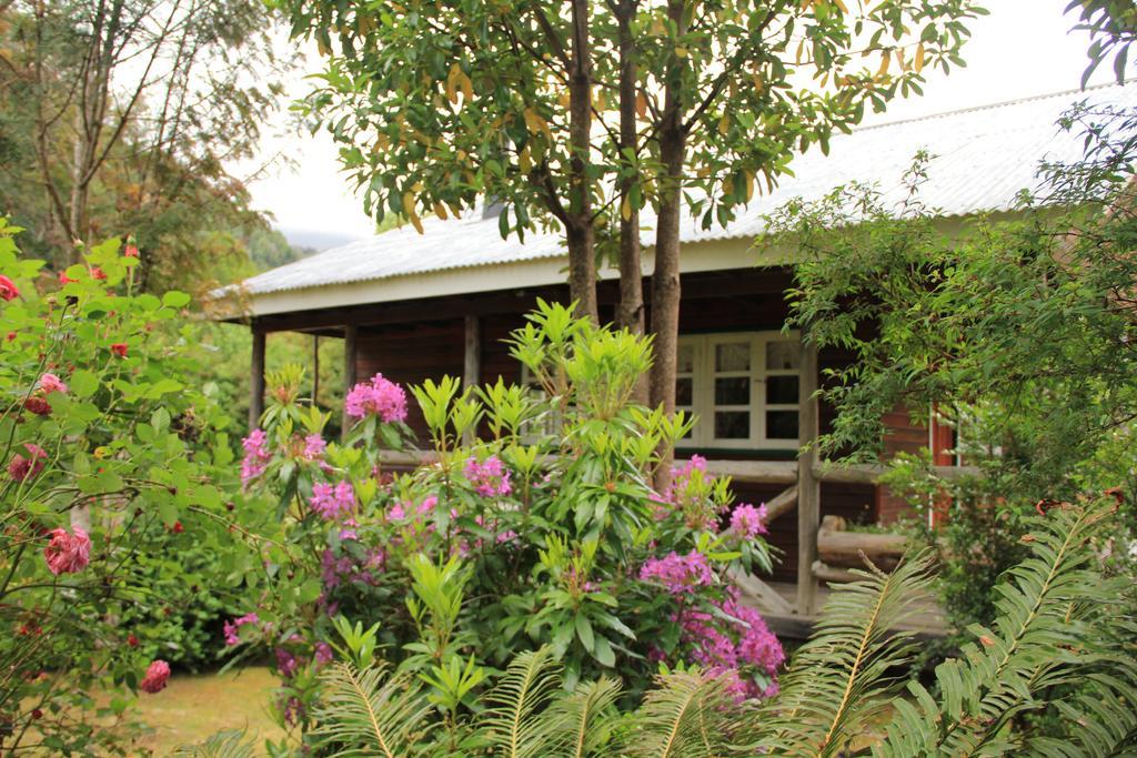 Posada Queulat Puerto Puyuguapi Bilik gambar